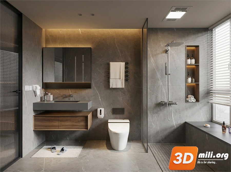 Toilet Skp Files 